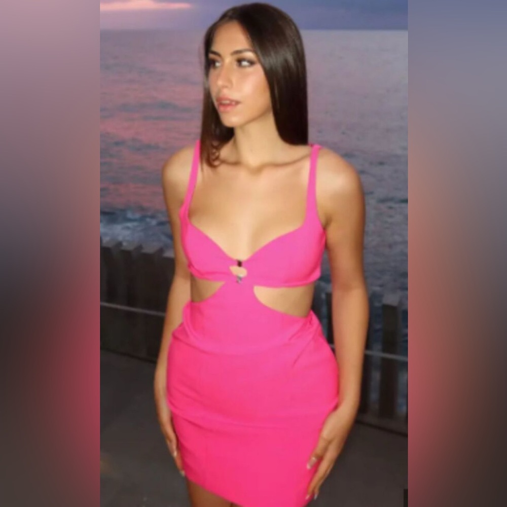 ZARA Pink Cut-Out Dress NWT M